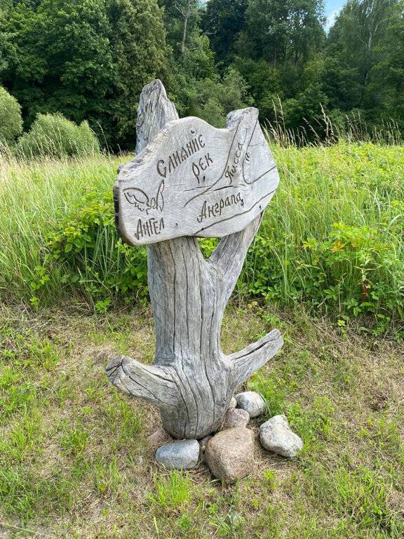 Фото Гостевого дома Ангел Черняховск 188