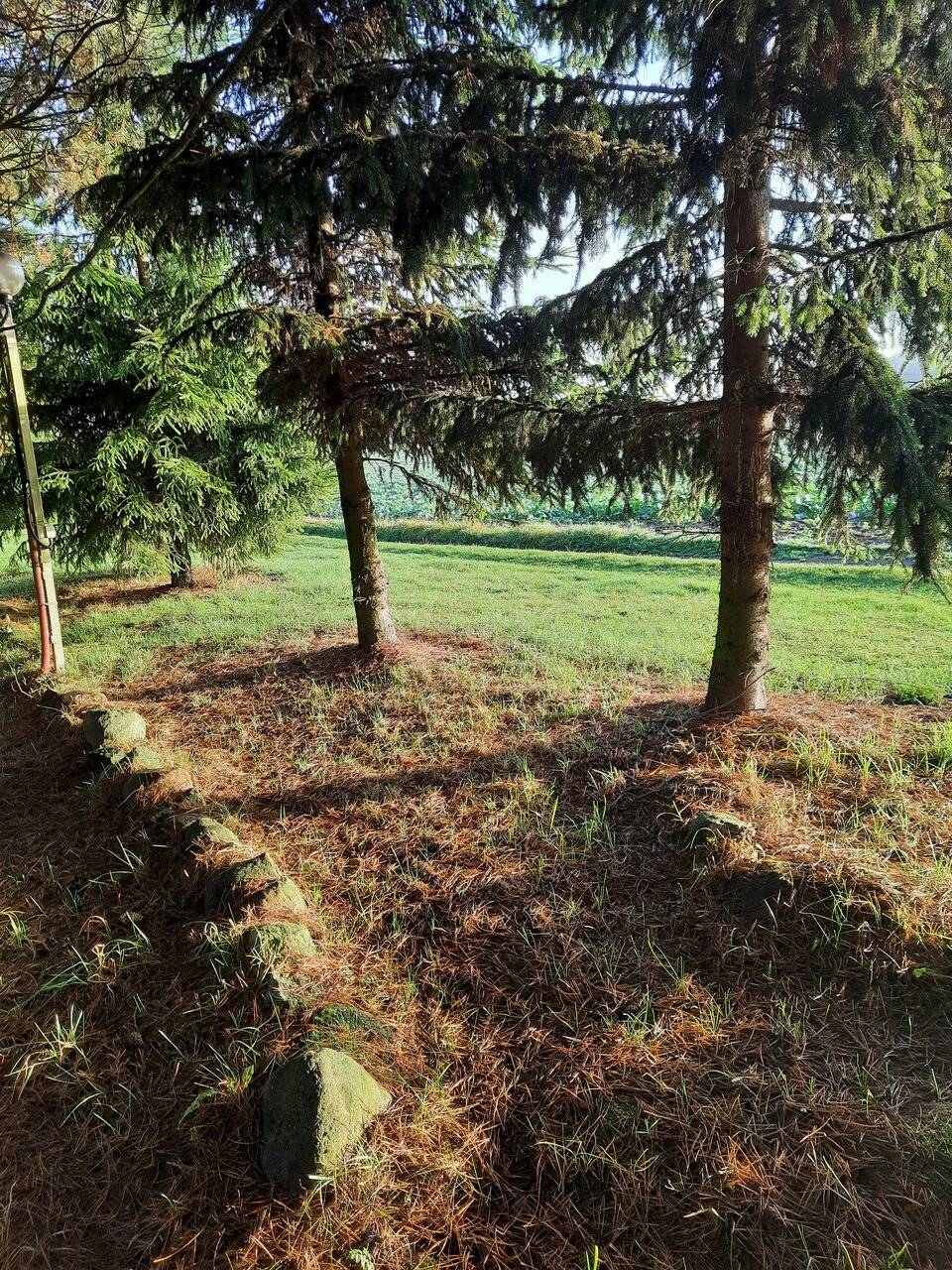 Фото Гостевого дома Ангел Черняховск 247