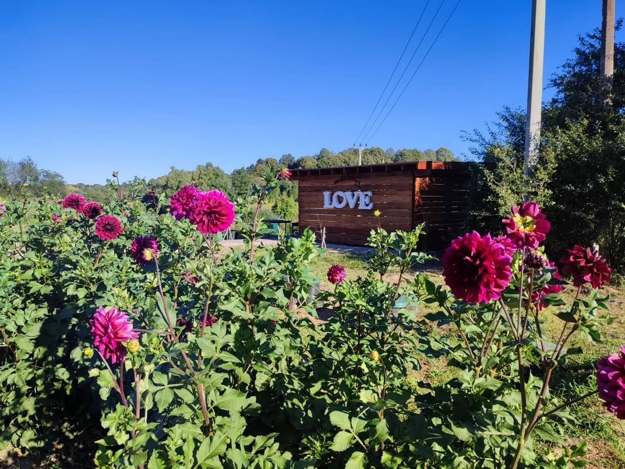 Фото Гостевого дома Ангел Черняховск 187