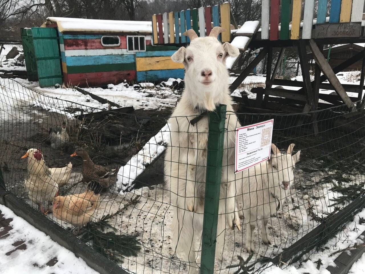 Фото Гостевого дома Ангел Черняховск 177