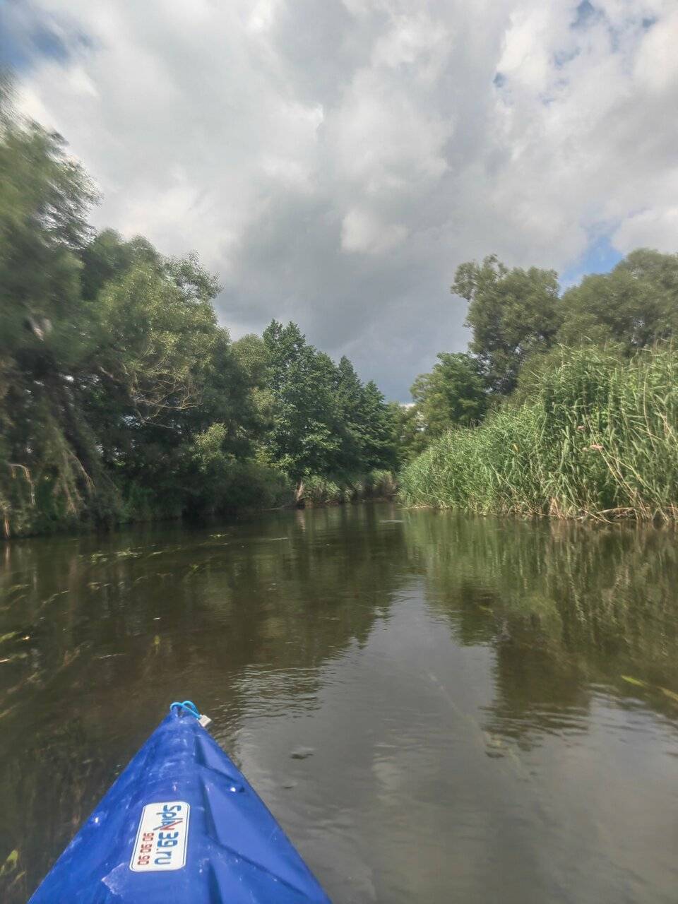 Фото Гостевого дома Ангел Черняховск 189
