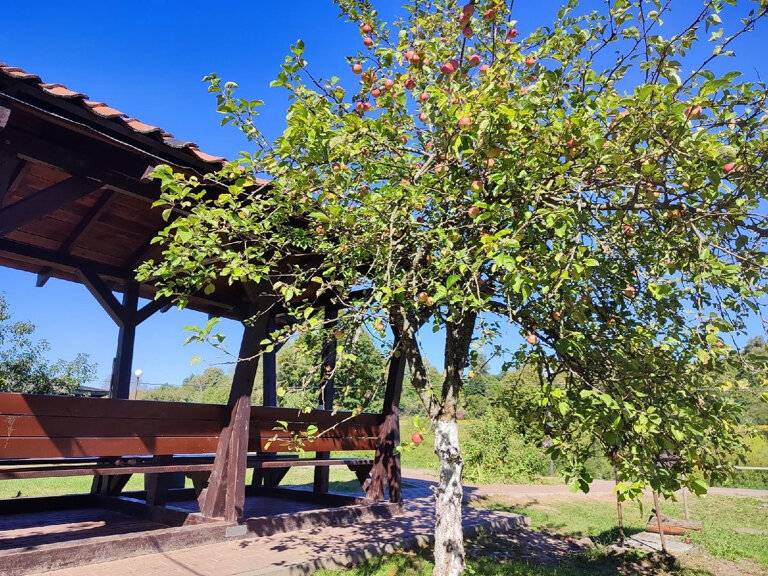 Фото Гостевого дома Ангел Черняховск 217