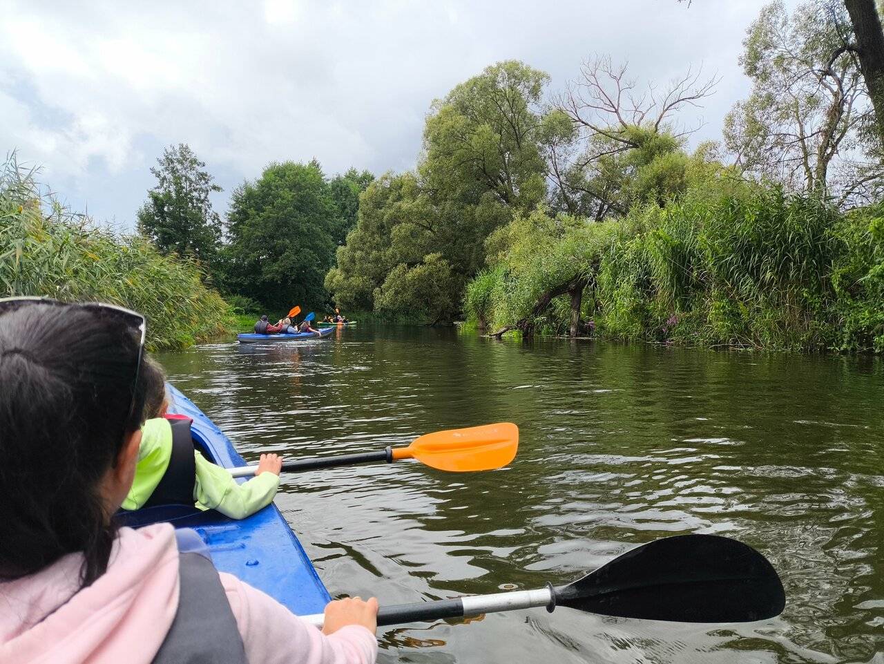 Фото Гостевого дома Ангел Черняховск 245
