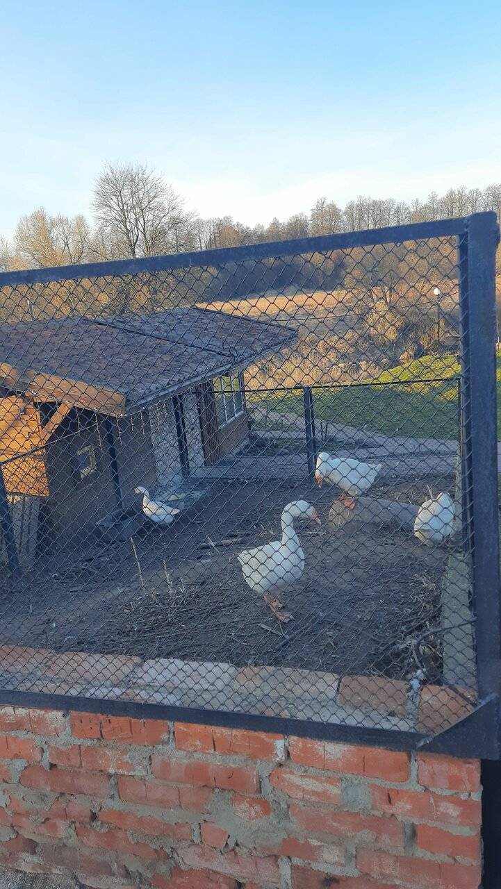 Фото Гостевого дома Ангел Черняховск 194